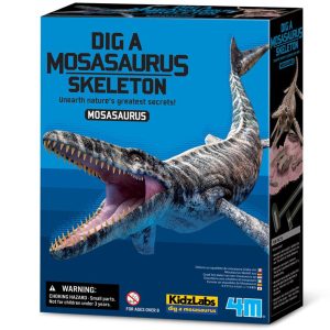 4m Mosasaurus skelet uitgraven