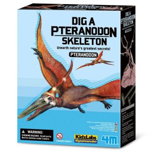 4m Pterandon skelet uitgraven