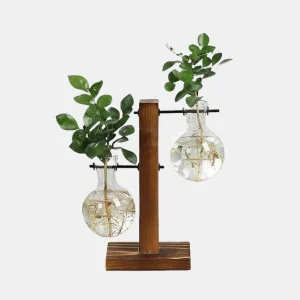 Houten Frame Hydroponische Plantvaas Verticale Glazen Stekdisplay voor Woondecoratie