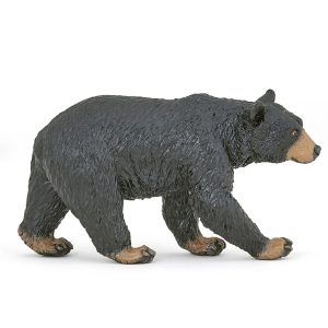 Amerikaanse zwarte beer