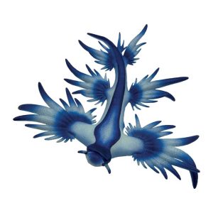 Bullyland Blauwe Zeeslak 67511