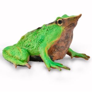 Collecta 3388938 Darwins bekbroeder