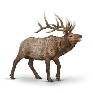 Collecta 80021 Wapiti