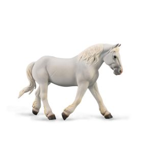 Collecta Boulnnais mare