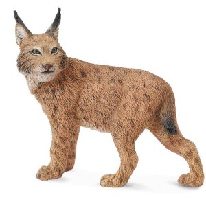 Collecta Lynx
