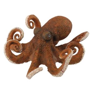 collecta Octopus