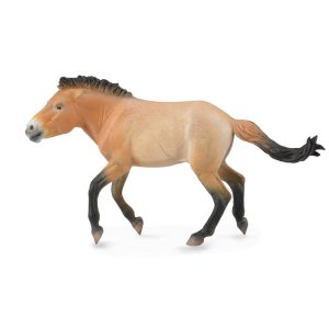 Collecta Przewalski Hengst