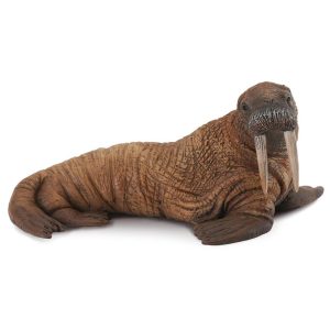 Collecta Walrus 