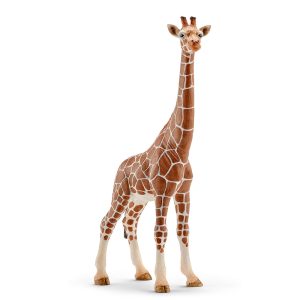 Giraffe vrouw