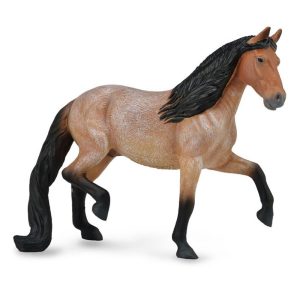 Mangalarga Marchador Hengst