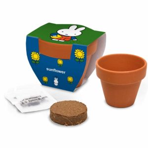 Nijntje Terracota Pot Zonnebloem