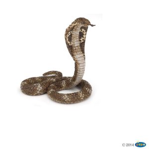 Papo Koningscobra