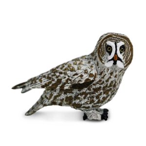 Safari 100691  great grey owl