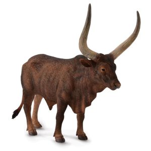 Watusirund Stier